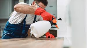 Best Termite Inspection and Treatment  in South Pekin, IL